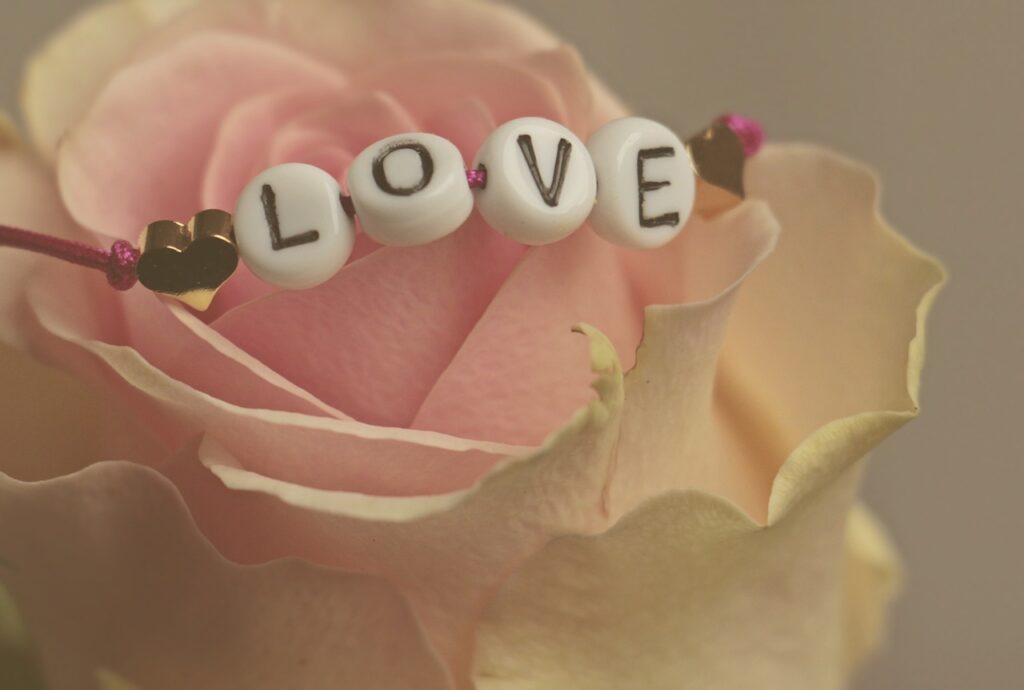 love rose flower feelings romantic 3388626